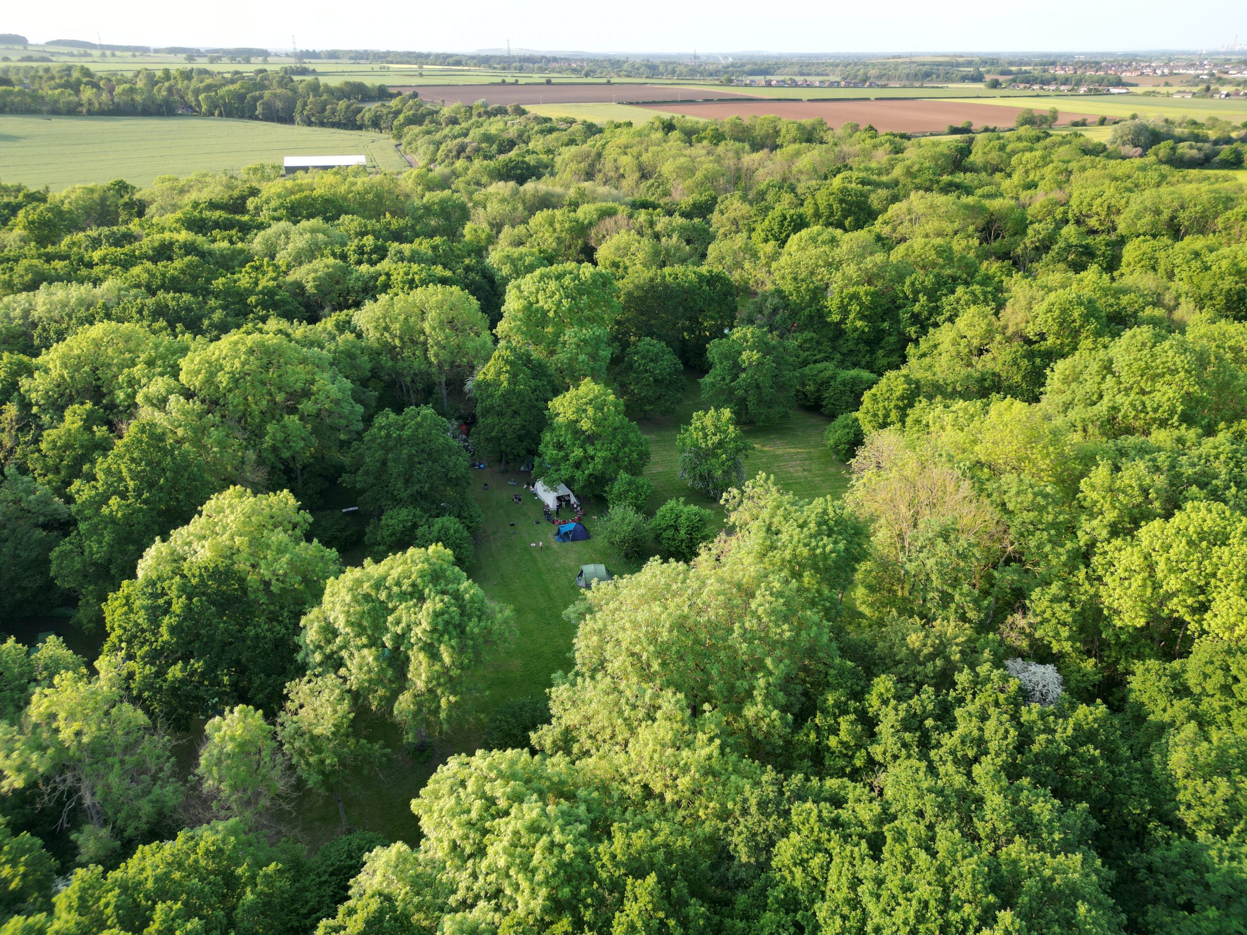 Squirrel Wood Scout Campsite The Home of Real Backwoods